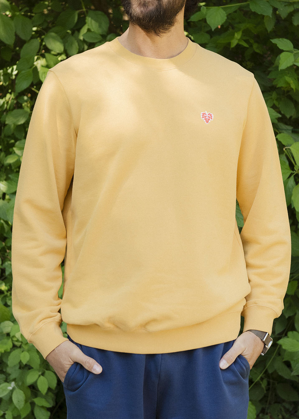 SWEAT VIGNE MOUTARDE 100% COTON