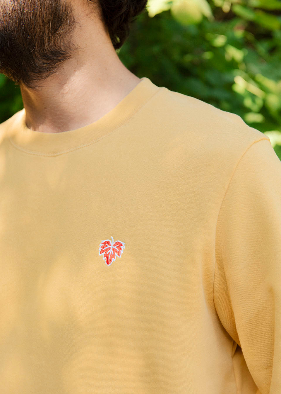 SWEAT VIGNE MOUTARDE 100% COTON
