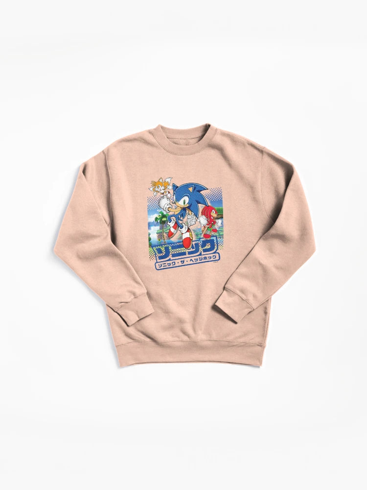 Sonic and Friends Group Shot - Vibrant Character Fan Hoodie