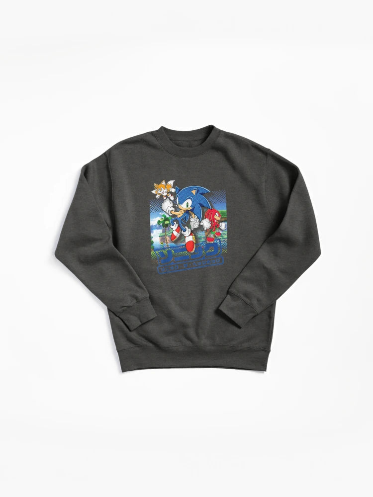 Sonic and Friends Group Shot - Vibrant Character Fan Hoodie