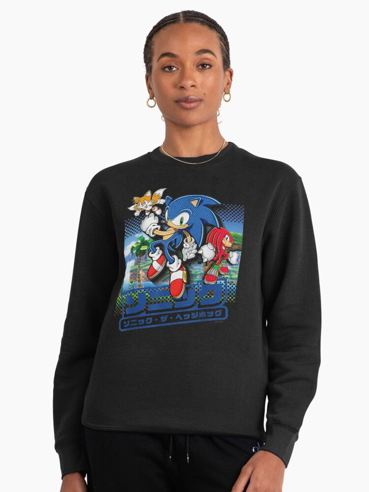 Sonic and Friends Group Shot - Vibrant Character Fan Hoodie Black